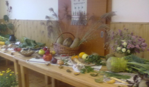 Výstava jesenných plodov 