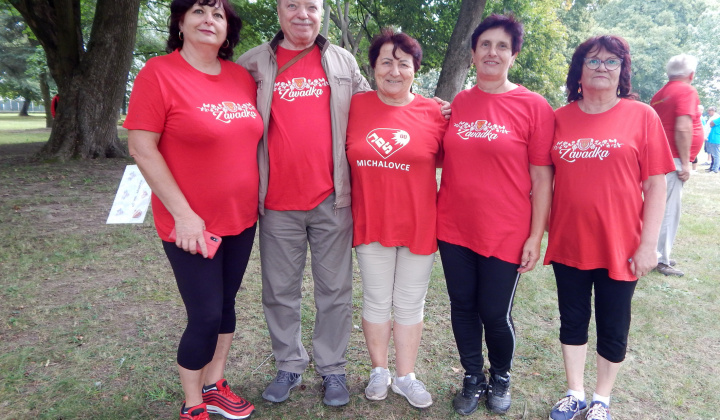 Okresné športové hry seniorov - Bracovce 2023 
