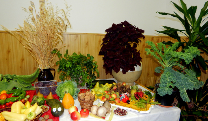 Členská schôdza našej ZO JDS spojená s výstavou jesenných plodov.